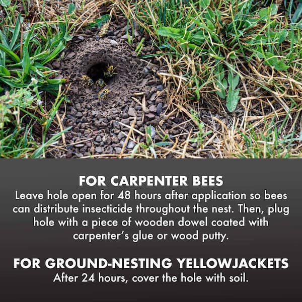 Spectracide Spectracide 16 Oz. Aerosol Carpenter Bee And Ground