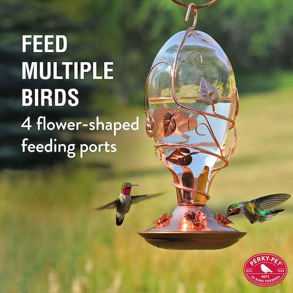 Looking Glass Hummingbird Feeder - 32 oz. Capacity
