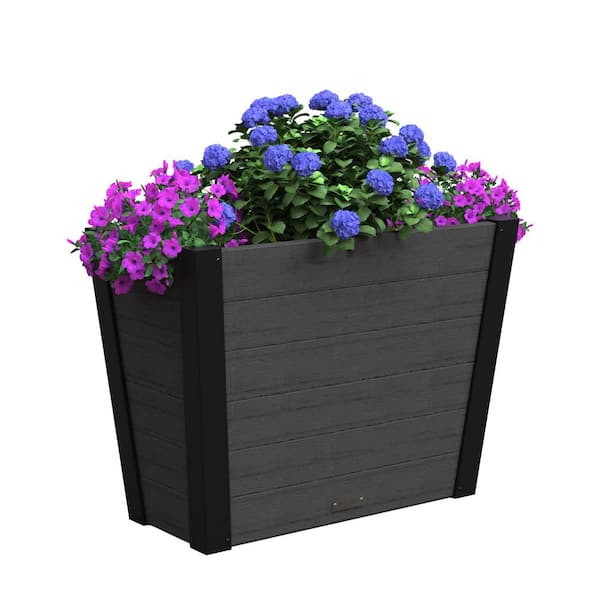 big plant pots indoor ZZ Plant - Large (2-3' tall) Cement Grey Planter