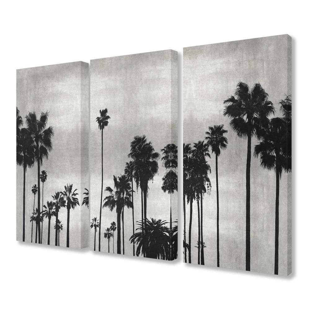 The Stupell Home Decor Collection 16 In X 24 In Black And White Palm Tree Silhouette Scene By Artist Kate Bennett Canvas Wall Art 3pieces Twp 244 Cn 3pc 16x24 The Home Depot Small types of palm trees including dwarf palm trees with pictures most people who want to grow palm trees in their yard look for small or miniature types of palm trees. the stupell home decor collection 16 in x 24 in
