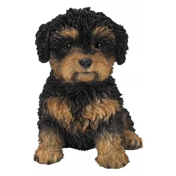 Cavapoo OR Cavachon Puppy Gift Card