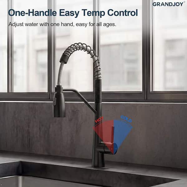 GRANDJOY 20 in. H 360° Swivel 1-Handle Commercial/Residential Pull