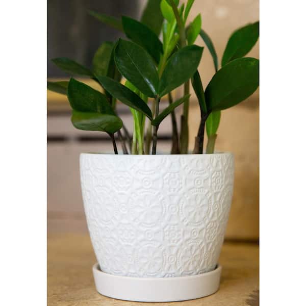 Vigoro 5.5 in. Chrysanthemum Small Pot Attached 4.8 (5.5 in. Depot CT1485-MTWH The H) White Ceramic Textured in. Home Saucer - x with D