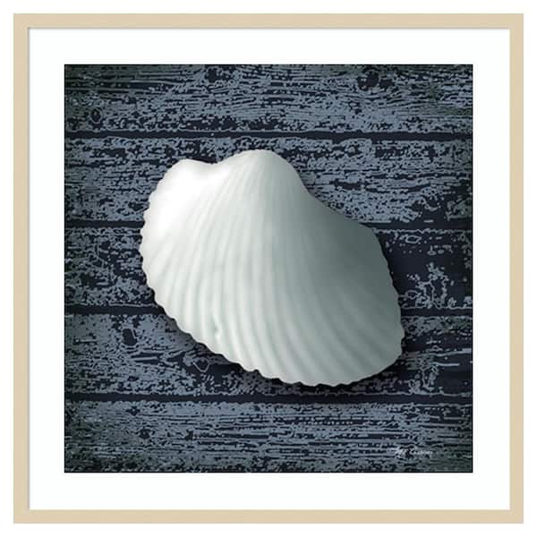 Amanti Art Seashore Shells Navy I by Marie Elaine Cusson 33 in. W x 33 in. H. Wood Framed Wall Art Print Framed in Brown