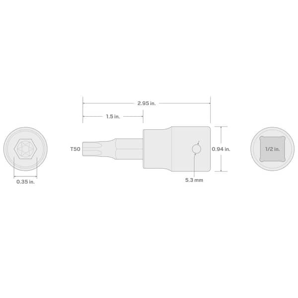 Torx Stecknuss-Set 1/4 & 3/8 Zoll – T20 Bis T50, Robust Für Auto & Heimwerker