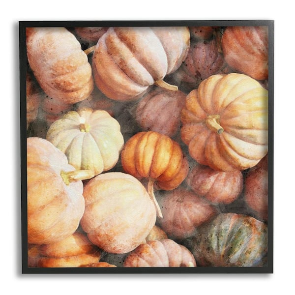 Stupell Industries Fall Pumpkins and Gourds by LSR Design Studio 1-Piece Framed Graphic Print Country Poster Art Print 24 in. x 24 in.