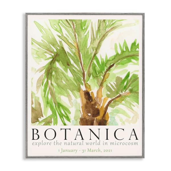 Stupell Industries Botanica Poster Palm Tree by June Erica Vess Gray Framed Nature Giclee Art Print 20 in. x 16 in.