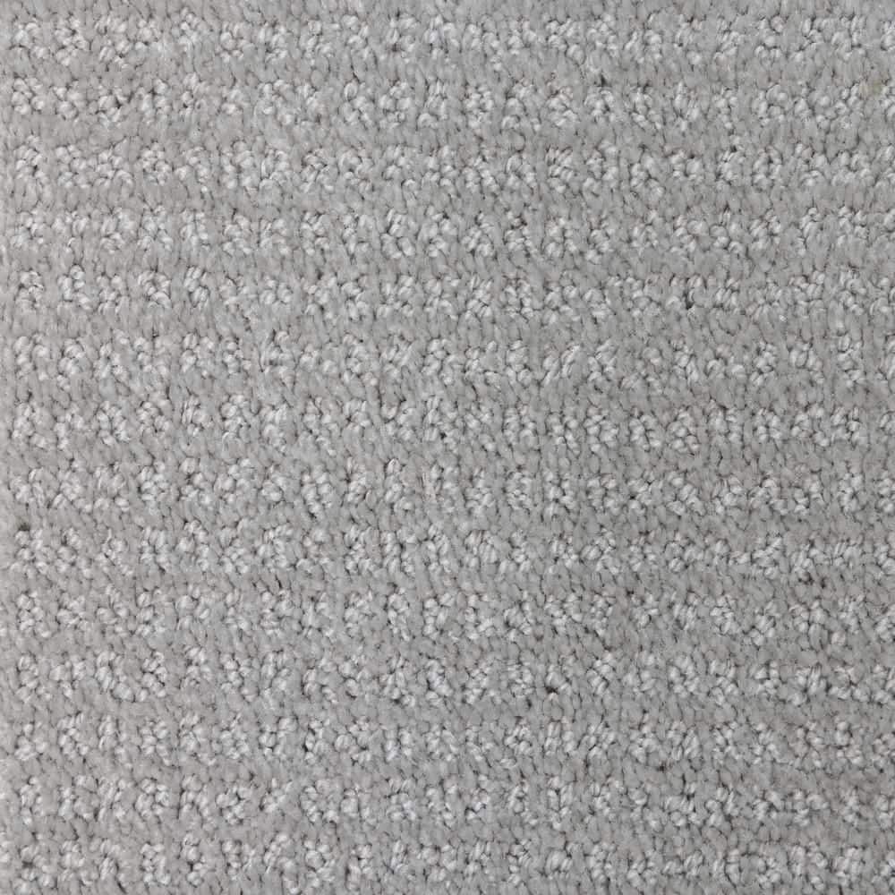 8 in. x  8 in. Pattern Carpet Sample - Tailgate Classic -Color Winton price history on PriceWatchPro