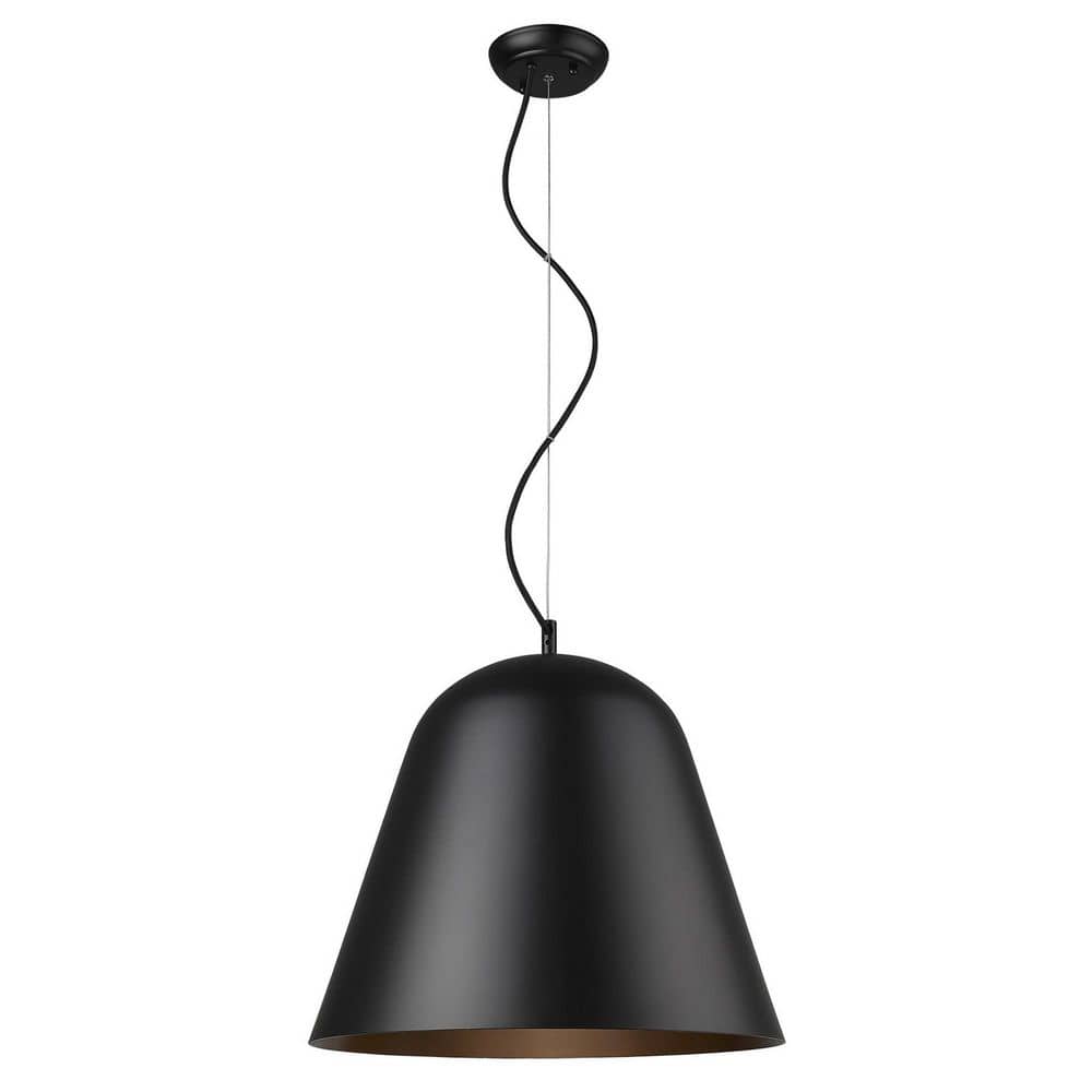 100-Watt 1-Light Black Pendant Light with Metal, No Bulbs Included price history on PriceWatchPro