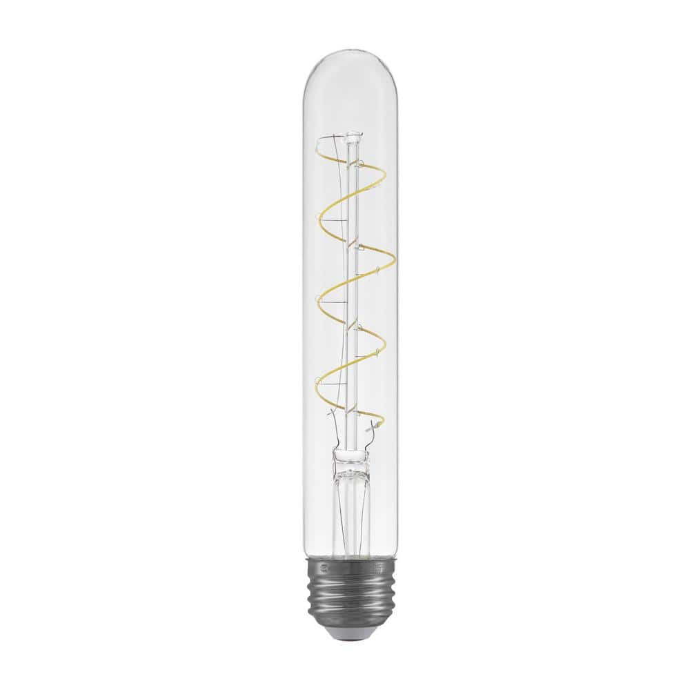 Ecosmart Ampoule LED vintage Edison à filament fin à intensité variable T10  équivalente à