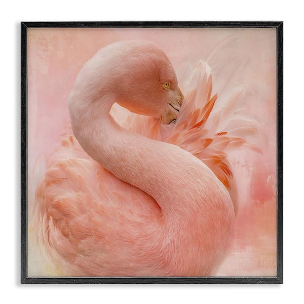 Stupell Industries Cocoon of Plumage by Kelley Parker Black Framed Animal Giclee Art Print 12 in. x 12 in.