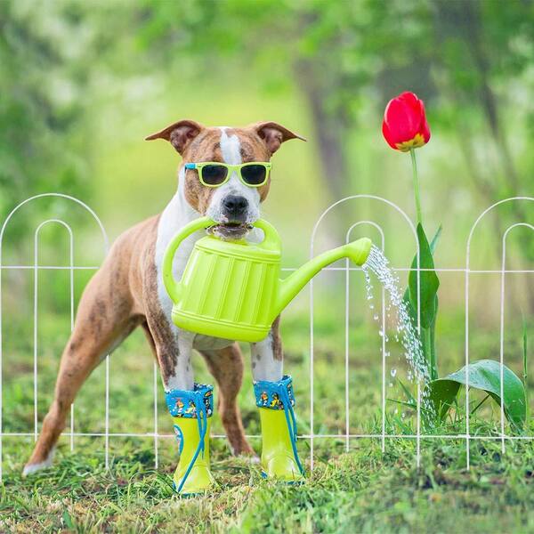 dog fence wire home depot