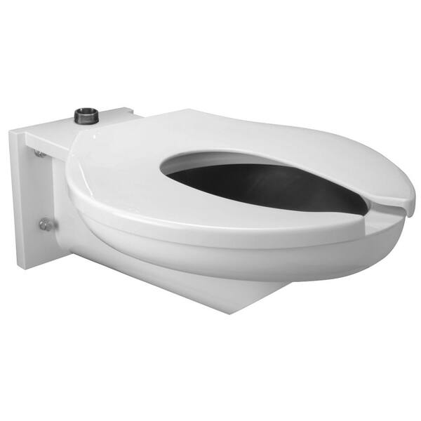 Zurn 1-Piece 1.6 GPF Single Flush Elongated Toilet in Stainless Steel with Seat
