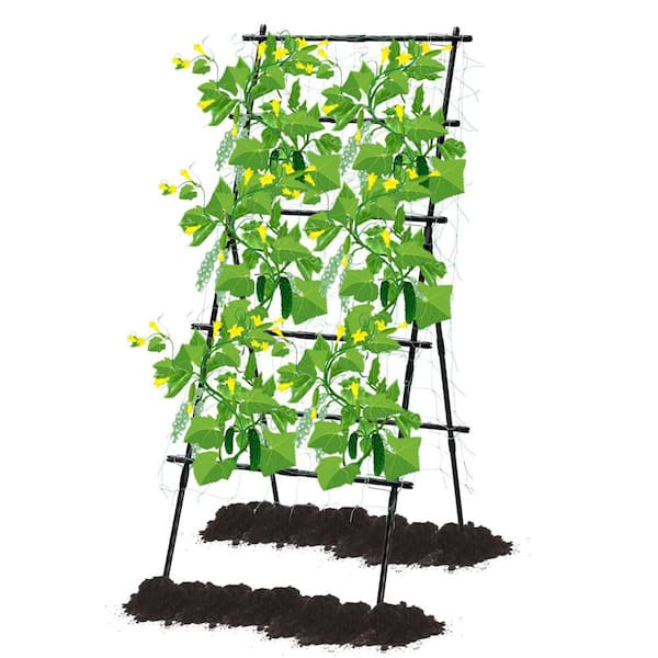 MOEPISY Garden Trellis for Climbing Plants Outdoor, H 74.8 in. x L 30.7 in. Metal A-Frame Trellis Climbing, with Netting