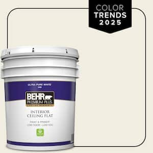 5 gal. Designer Collection #DC-003 Blank Canvas Ceiling Flat Interior Paint