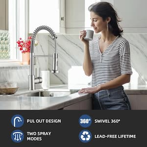 Spiral tube Single Handle Gooseneck Pull Out Sprayer Kitchen Faucet with Deckplate Included in Brushed Nickel