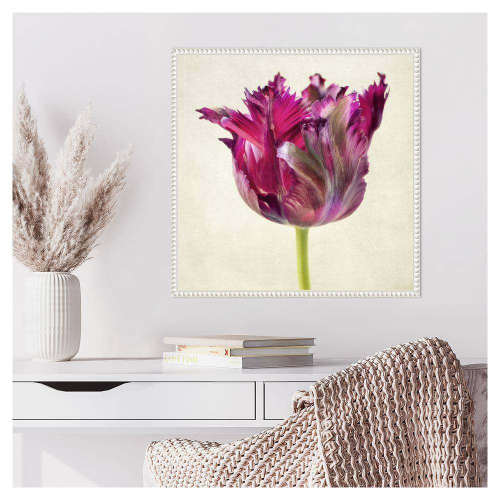 Single Parrot Tulip II Pink Canvas Wall Art with White Frame