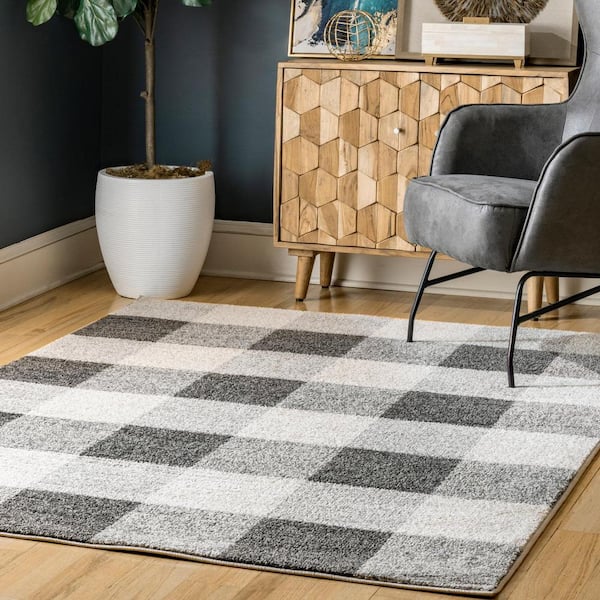 Aisha Buffalo Plaid Gray 4 ft. x 6 ft. Area Rug