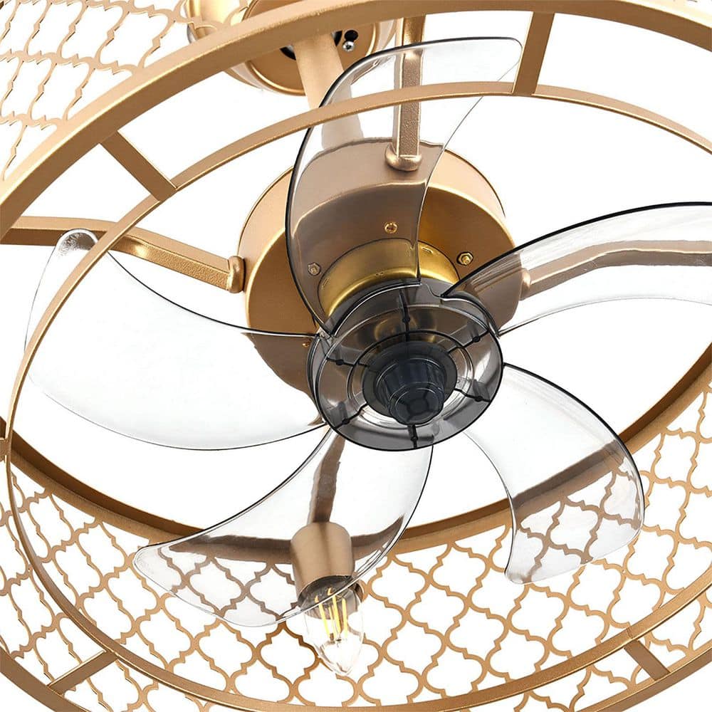 20-Inch Gold Metal Caged Ceiling Fan with Remote and Lighting