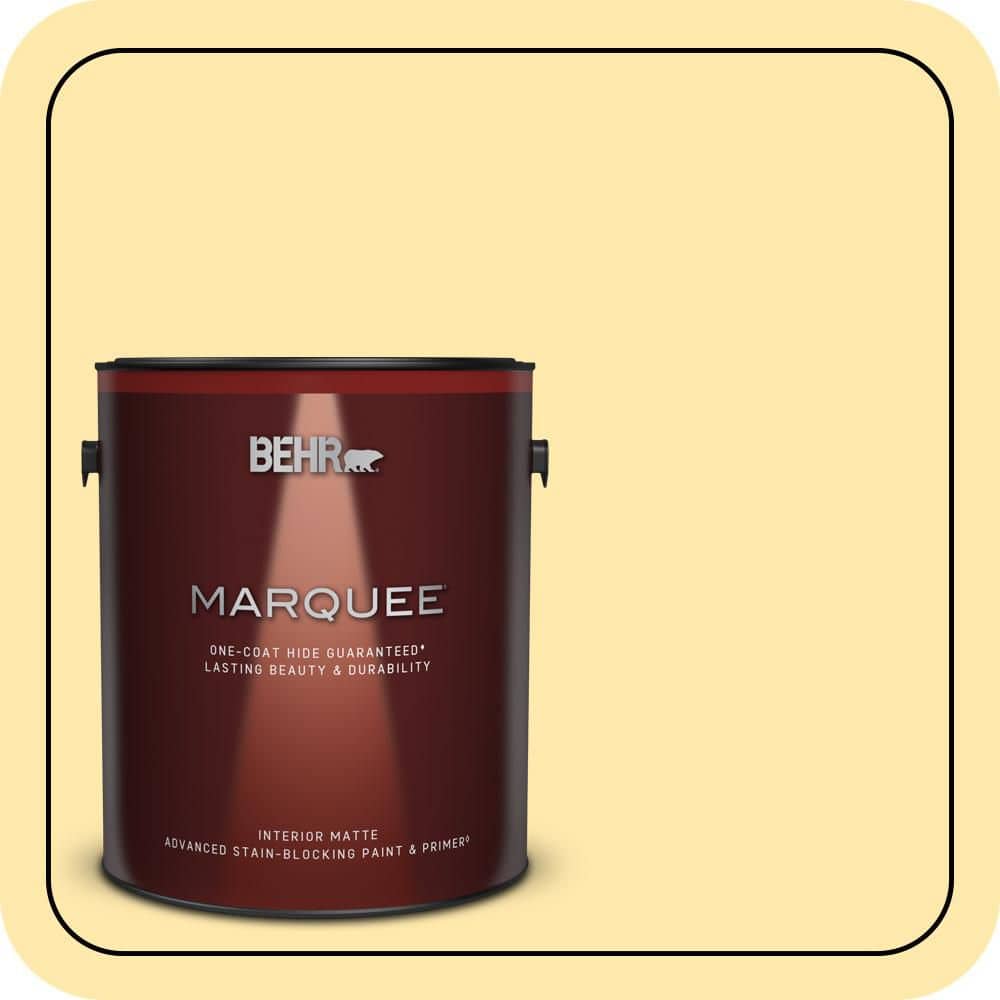 1 gal. #P290-2 Sweet as Honey Matte Interior Paint & Primer price history on PriceWatchPro
