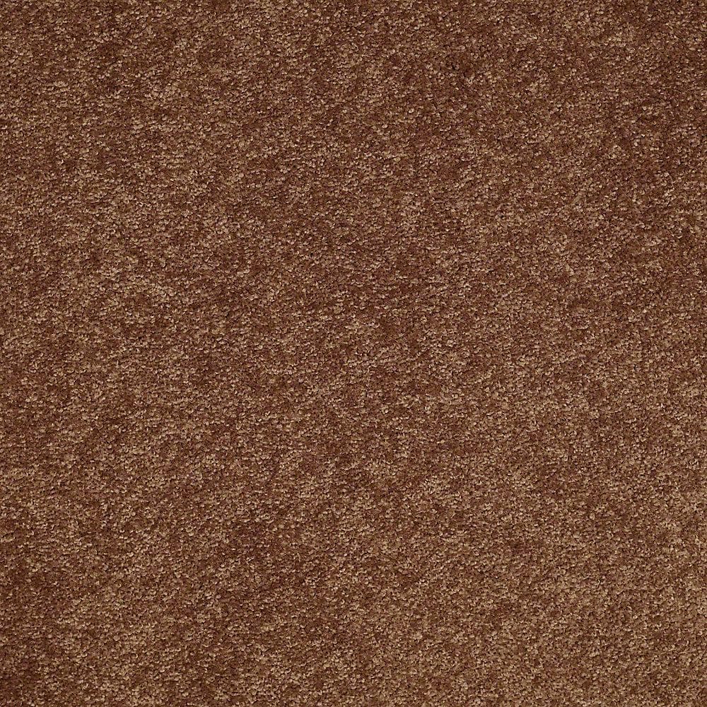 8 in. x 8 in. Texture Carpet Sample - Brave Soul I - Color Satchel price history on PriceWatchPro