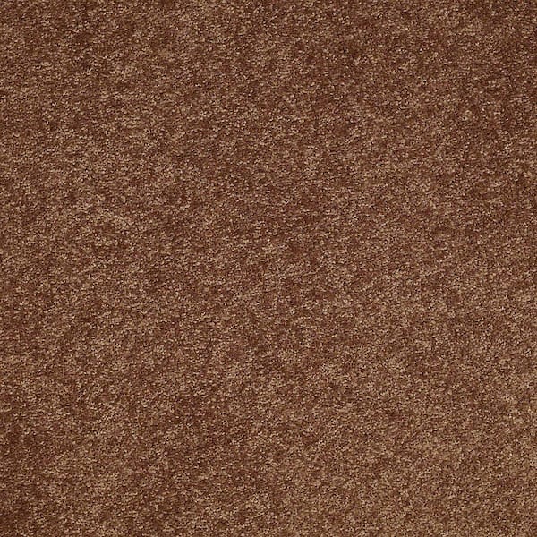 Home Decorators Collection Brave Soul I - Satchel - Orange 34.7 oz. Polyester Texture Installed Carpet
