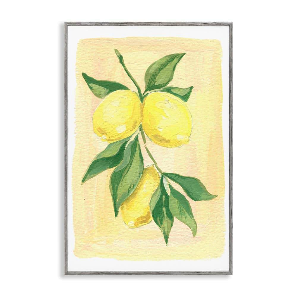 Hanging Lemons Country Charm by Hannah Moren Gray Framed Food Giclee Art Print 18 in. x 12 in. price history on PriceWatchPro