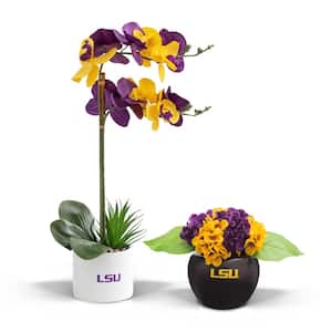20 in. LSU Tigers Artificial Orchid Plant and Hydrangea - Fan-Favorite College University Gift Bundle (2-Pack)
