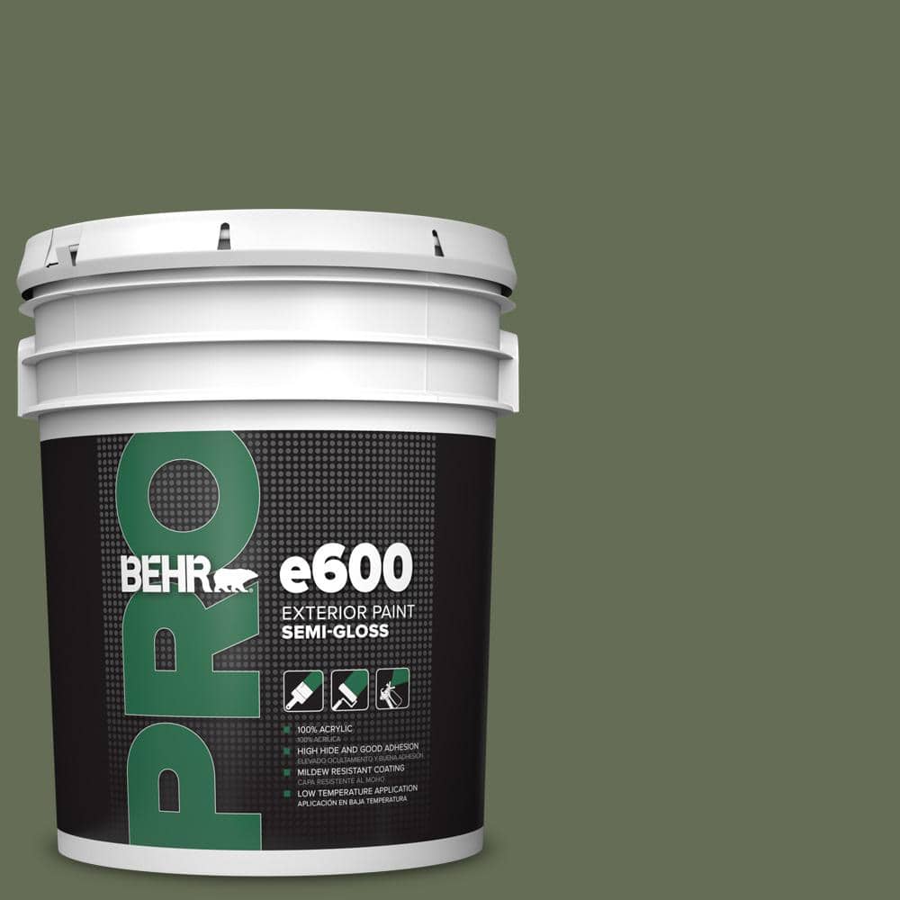 5 gal. #ECC-38-3 Sea Fern Semi-Gloss Exterior Paint price history on PriceWatchPro