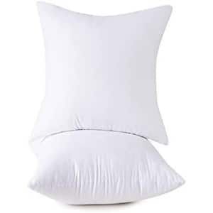 Outdoor Set of 2, Cotton Cover Down Alternative Decorative Throw Pillow Insert, Square, 20 in. x 20 in.