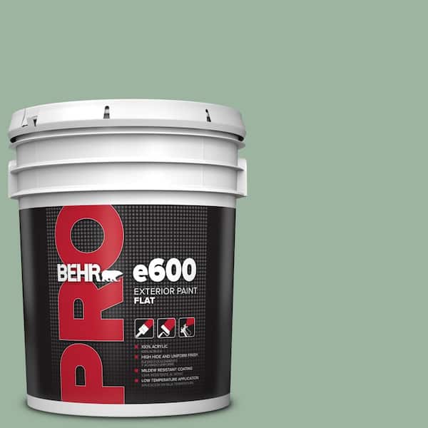 BEHR PRO 5 gal. #S410-4 Copper Patina Flat Exterior Paint