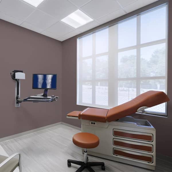 1 gal. #N100-7 Aubergine Dead Flat Interior Paint