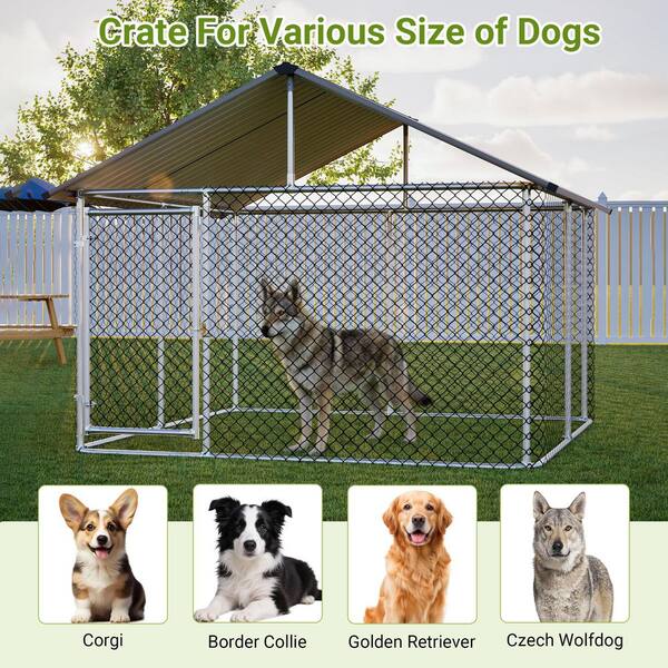 7.5 ft.W x 7.9 ft.D Metal Shed Outdoor Dog Kennel for Large Dog w
