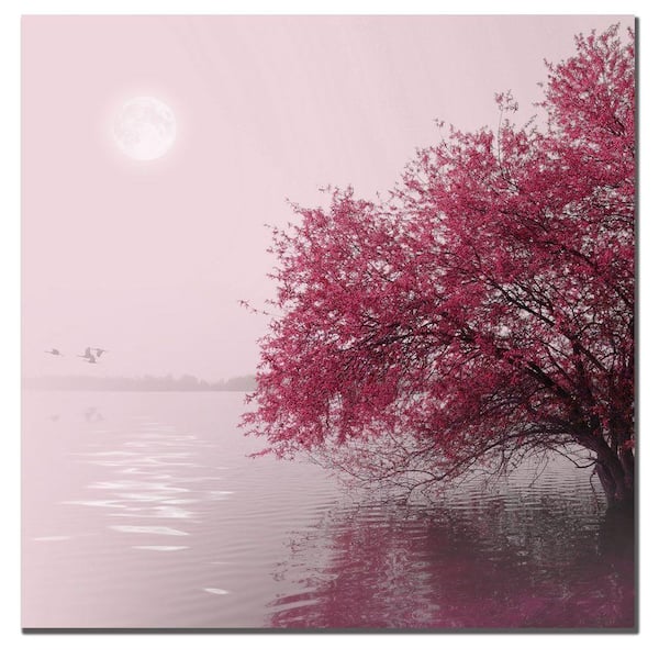 Trademark Fine Art 24 in. x 24 in. Full Moon on the Lake Canvas Art