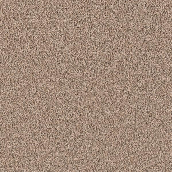 Home Decorators Collection Delicate Flower  - Airy - Beige 40 oz. SD Polyester Texture Installed Carpet