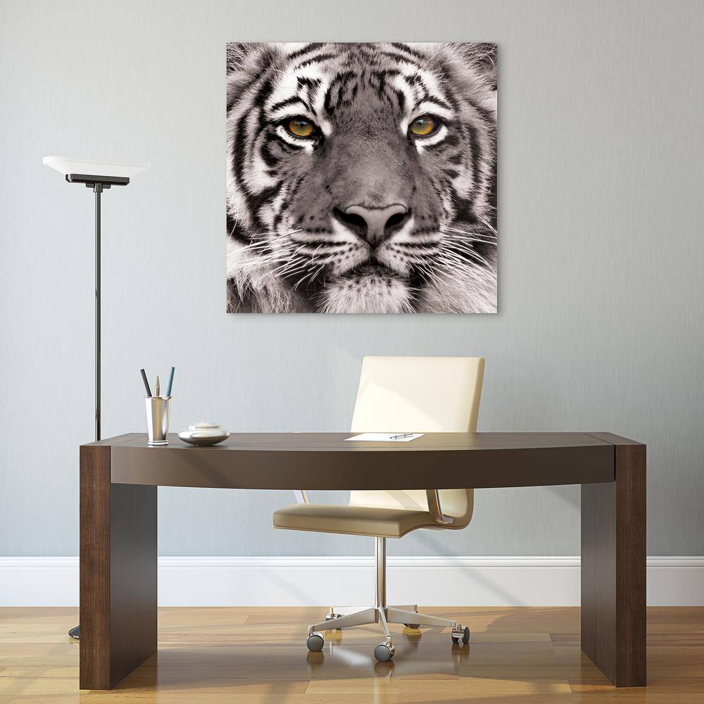 Empire Art Direct 38 in. x 38 in. ""Eye of the Tiger"" Frameless Free Floating Tempered Glass Panel Graphic Art, Multi Color -  TMP-60914-3838