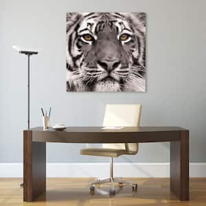 38 in. x 38 in. "Eye of the Tiger" Frameless Free Floating Tempered Glass Panel Graphic Art