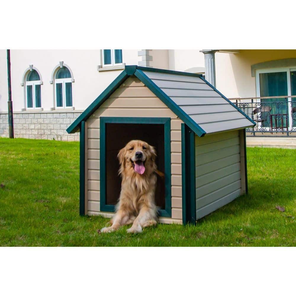 Large Maple and Green Insulated ECOFLEX Dog House