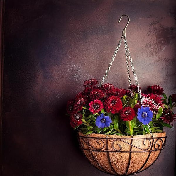 Ashman Online Large 16 in. Dia Black Metal Hanging Basket Ashman Online Large 16 in. Dia Black Metal Hanging Basket
