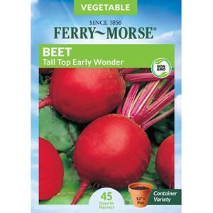 Beet Tall Top Early Wonder Vegetable Seed