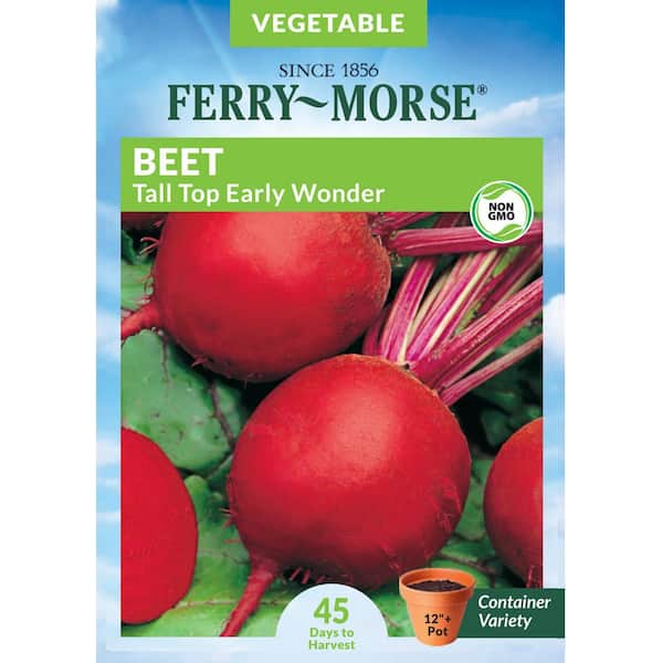 Ferry-Morse Beet Tall Top Early Wonder Vegetable Seed