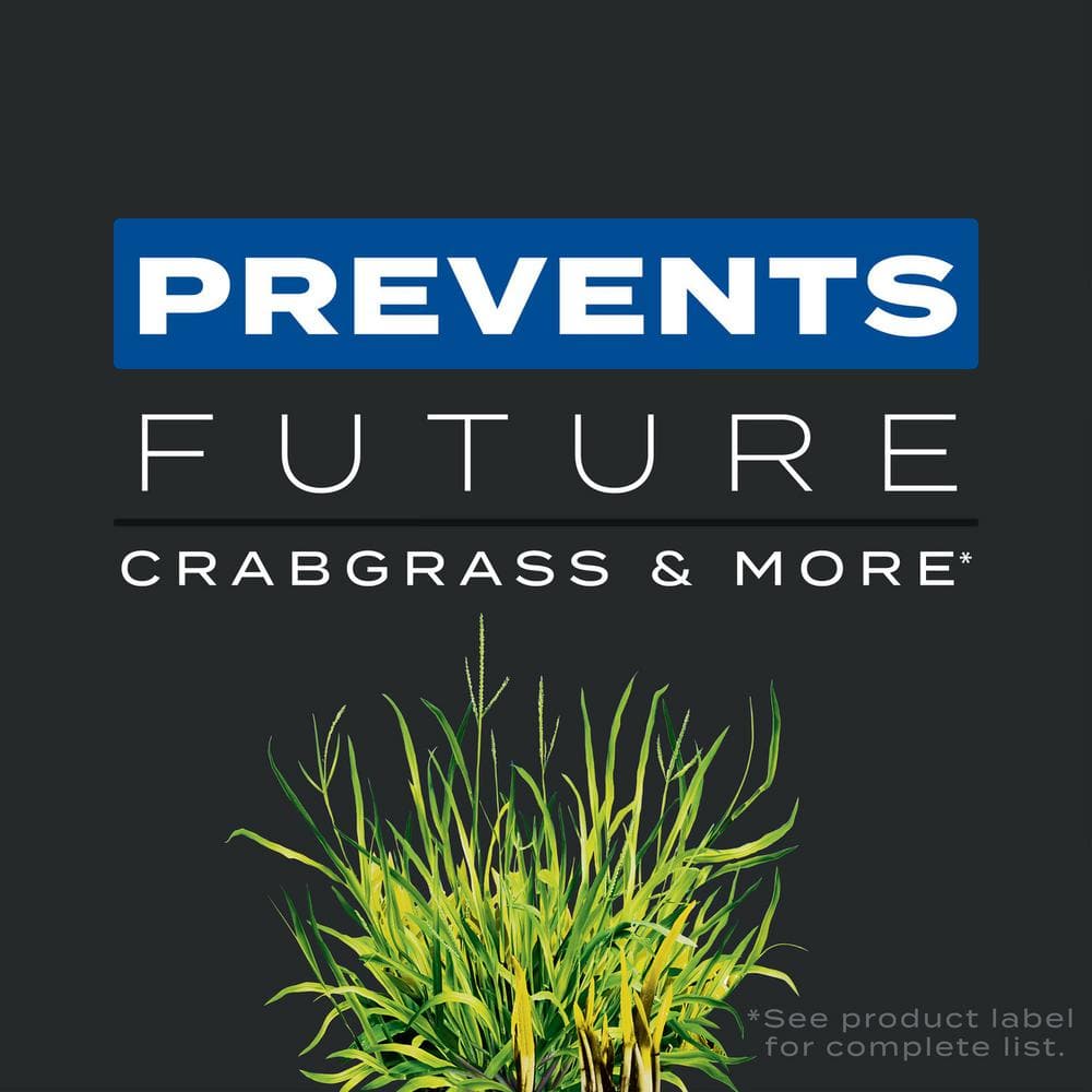 Imagen de producto 4