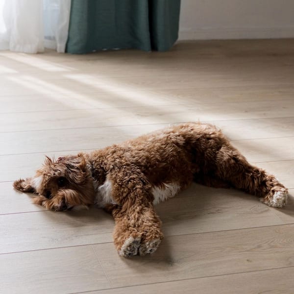 Malibu Wide Plank French Oak Lombard 20 MIL 9.1 in. x 60 in. Click