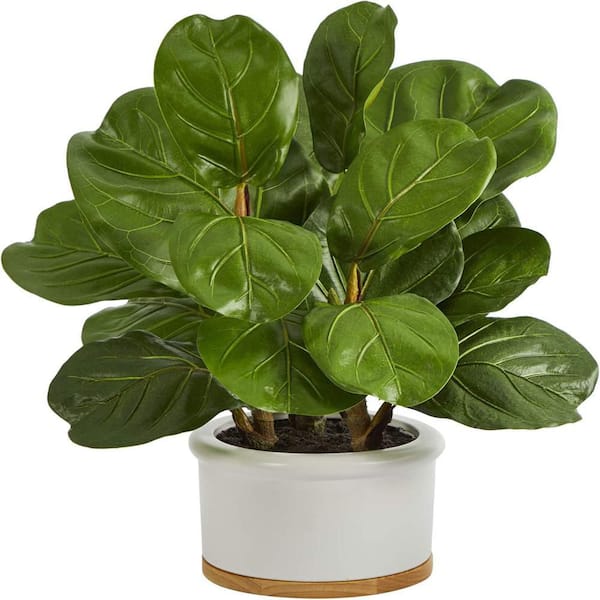 1.25 ft. Artificial Fiddle Leaf Tree in White Planter, Artificial Indoor Home Decor Plant