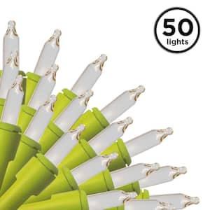 50-Light Designer Series Clear Mini Lights, Apple Green Wire