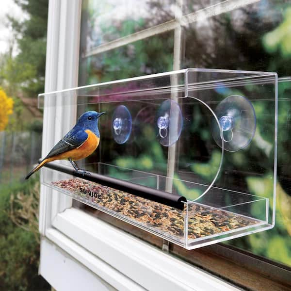 Indoor Window Insert Bird Feeder Easy to Clean Clear for Home