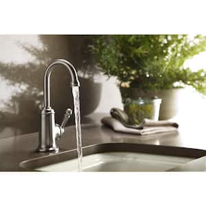 Wellspring Single Handle Bar Faucet in Vibrant Polished Brass