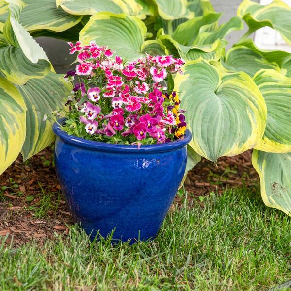 spicygem × cj plants x 鶴仙園 studs pot Amazon.com: KIZQYN Plant Pot Resin Flower Pot Outdoor Garden