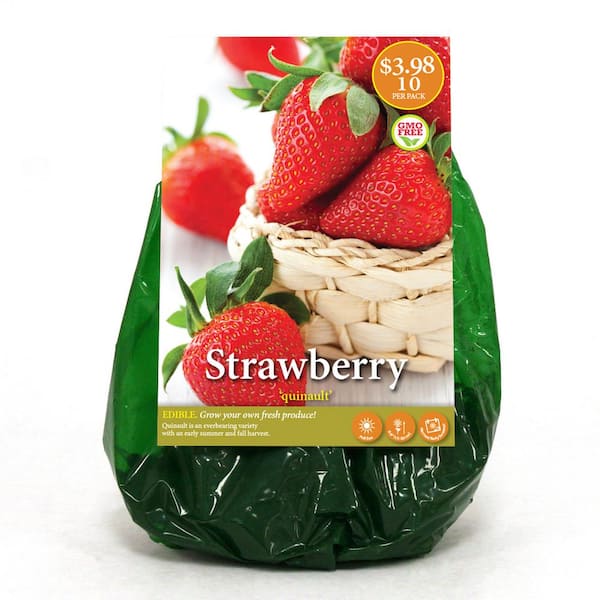 Strawberry (1 TUB) 3 GALLONS