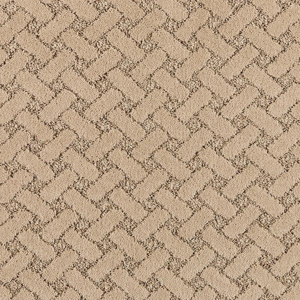 Home Decorators Collection 8 in. x 8 in. Pattern Carpet Sample - Sharp Perception -Color Classical